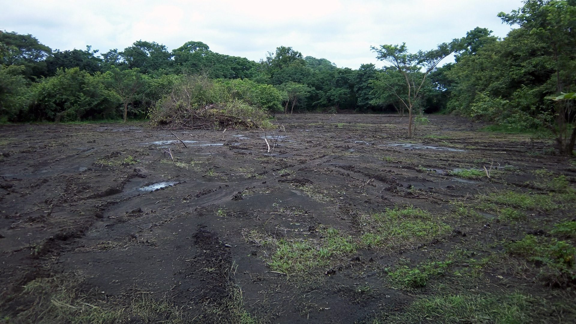 The same ground in 2013, bare and cleared