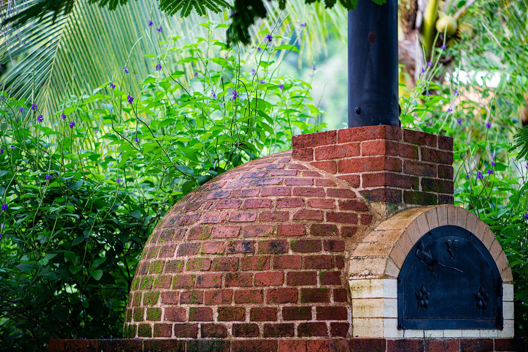 The wood-fired brick pizza oven