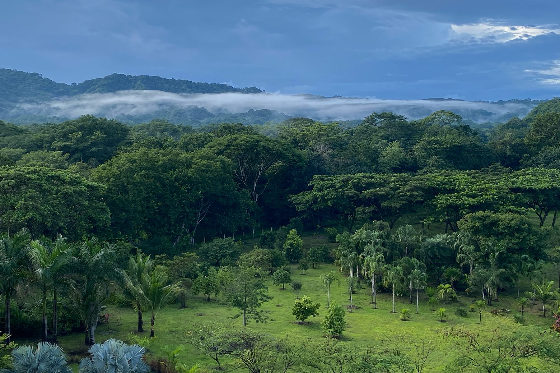 The estate grounds below misty mountains