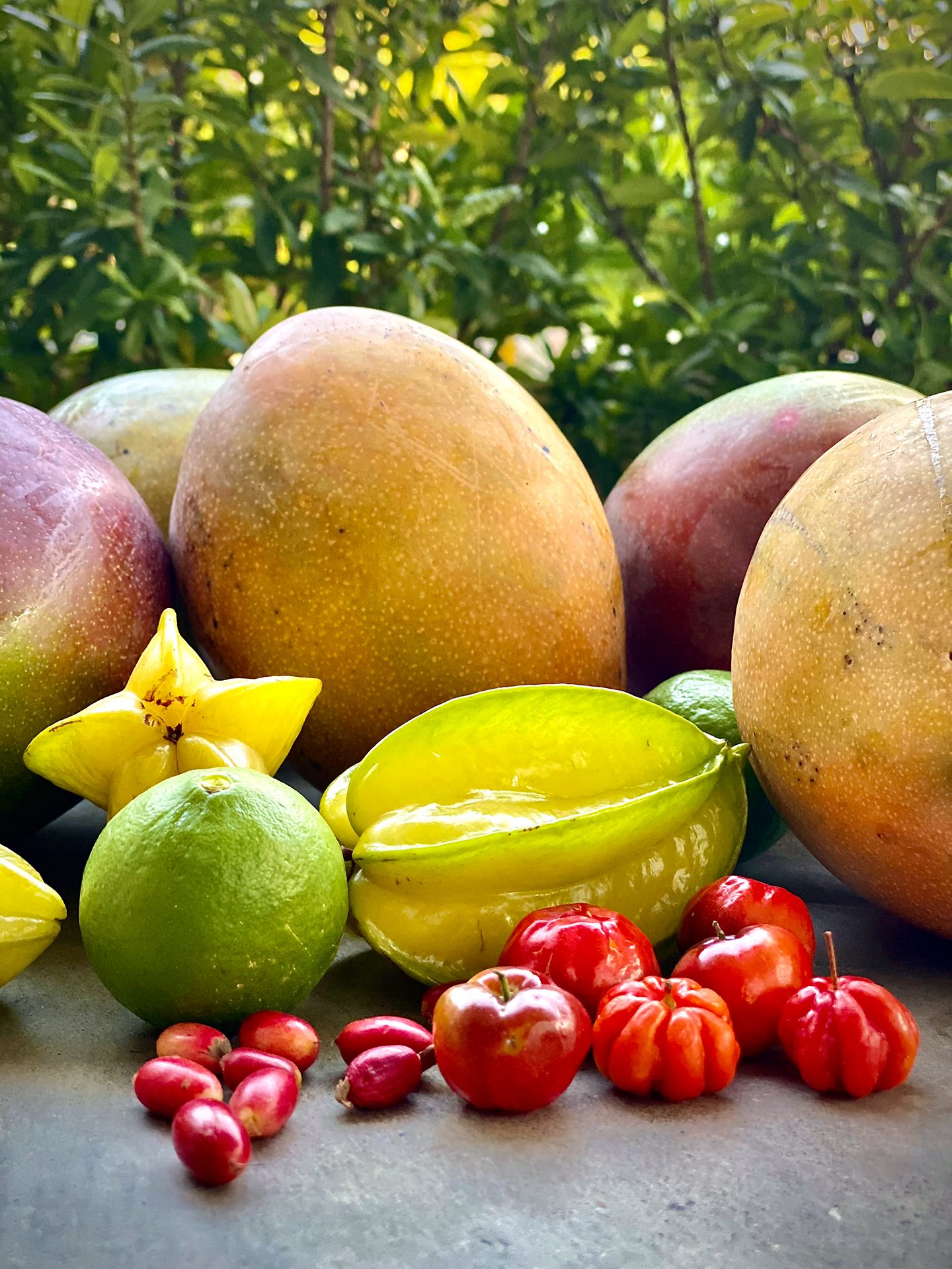 The Orchard — photo collection from The Sanctuary Estate, Nosara, Costa Rica
