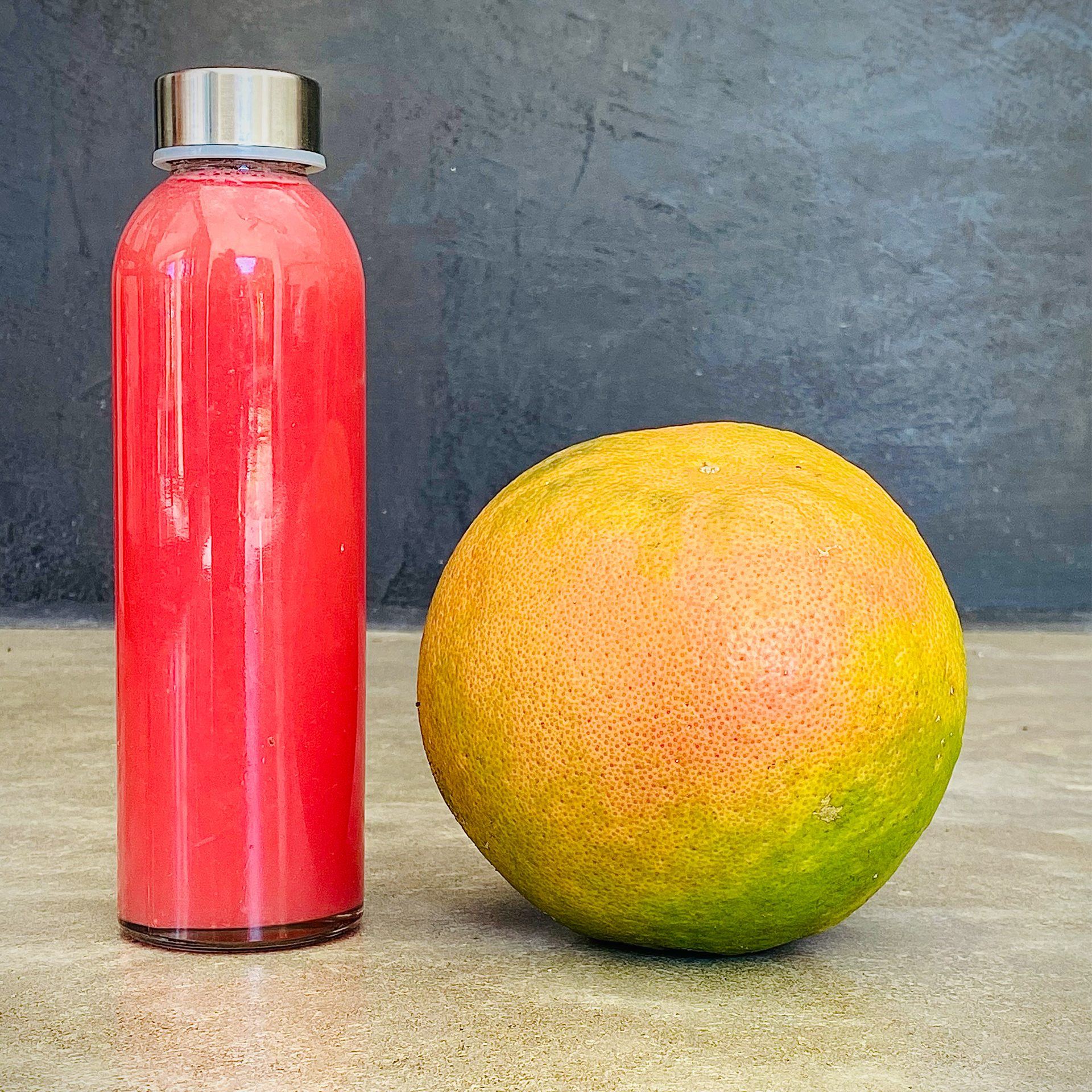 Grapefruit (Citrus paradisi) — The Sanctuary Estate, Nosara, Costa Rica