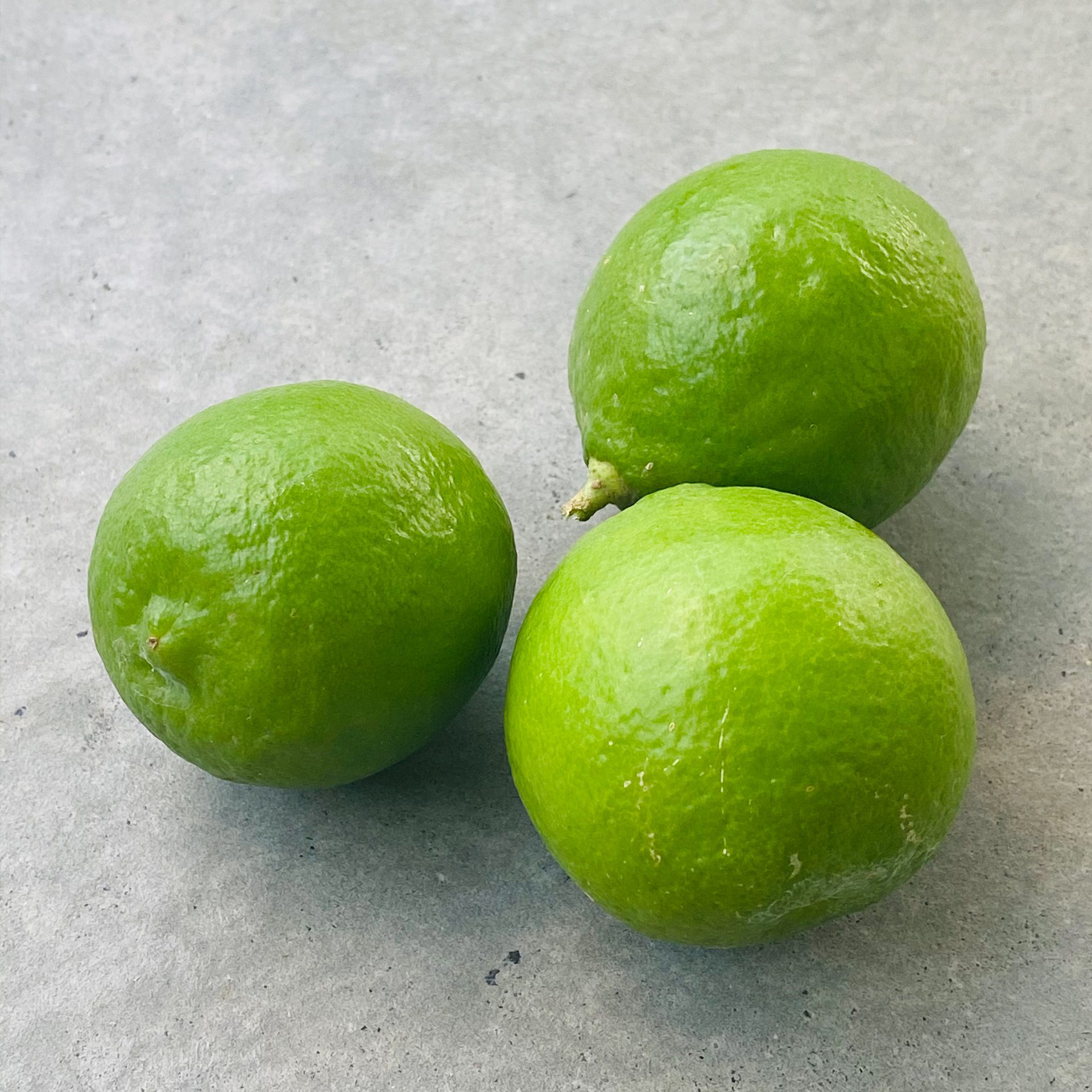 Limes (Citrus aurantiifolia) — The Sanctuary Estate, Nosara, Costa Rica