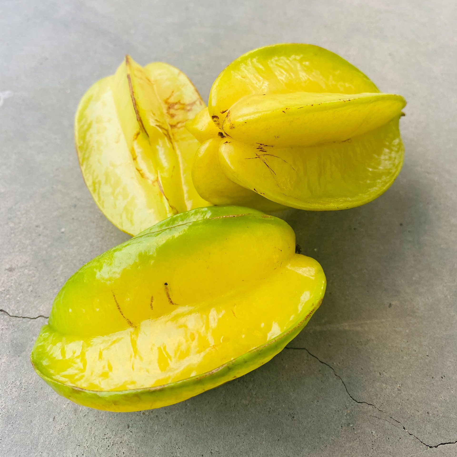 Star-fruit (Averrhoa carambola) — The Sanctuary Estate, Nosara, Costa Rica