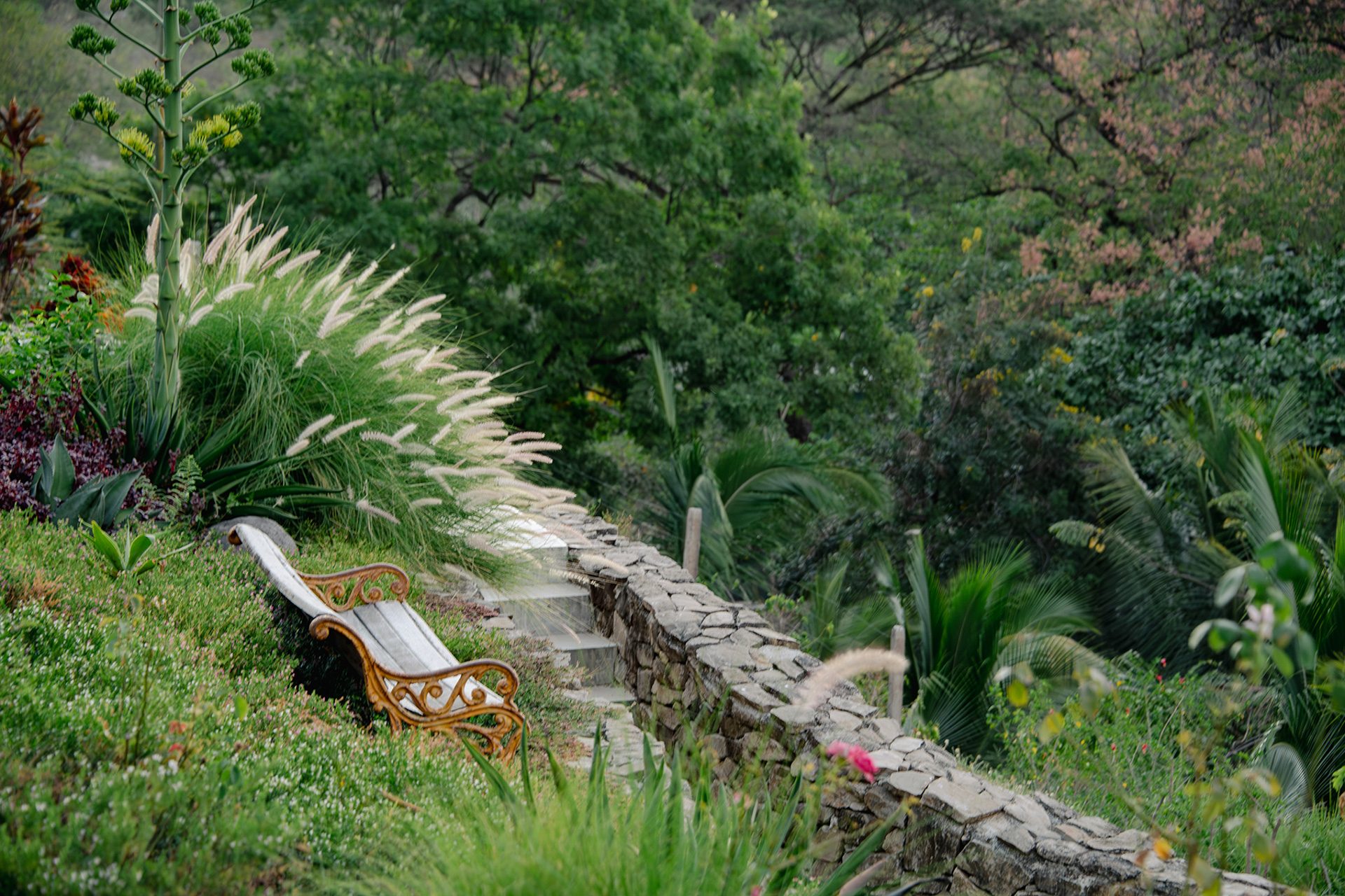Stone steps and a garden bench beneath mature planted trees at The Sanctuary Estate, Nosara, Costa Rica